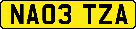 NA03TZA