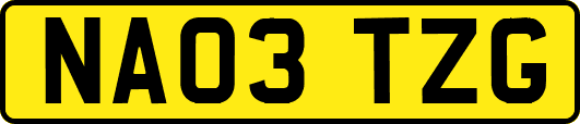 NA03TZG