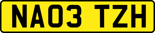 NA03TZH