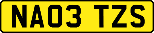 NA03TZS