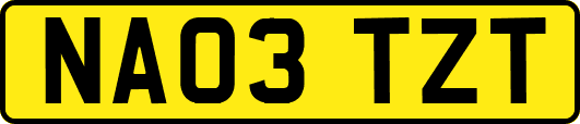 NA03TZT