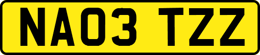 NA03TZZ