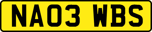 NA03WBS