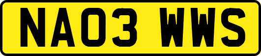 NA03WWS
