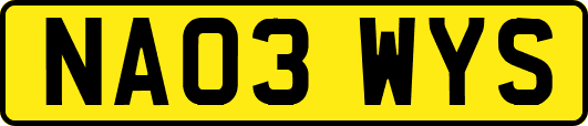 NA03WYS