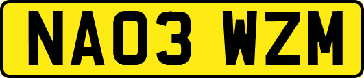 NA03WZM