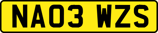 NA03WZS
