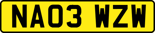 NA03WZW