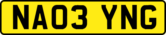 NA03YNG
