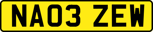 NA03ZEW