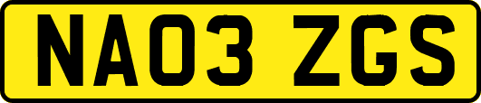 NA03ZGS