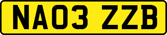 NA03ZZB