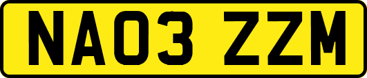 NA03ZZM