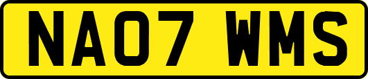 NA07WMS