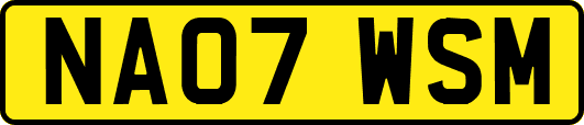 NA07WSM