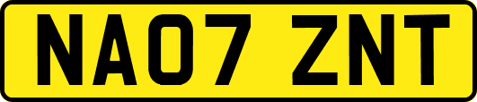 NA07ZNT