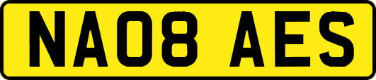 NA08AES
