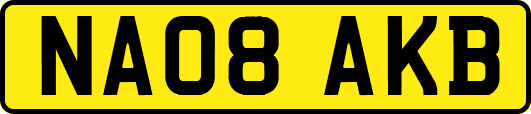 NA08AKB