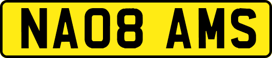 NA08AMS