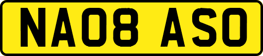 NA08ASO