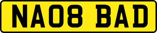 NA08BAD