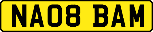 NA08BAM