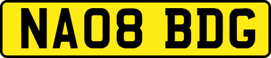 NA08BDG