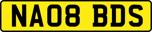 NA08BDS