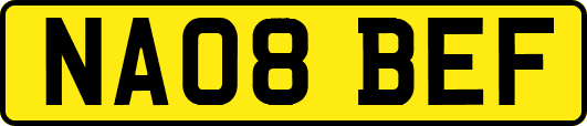 NA08BEF