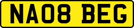 NA08BEG