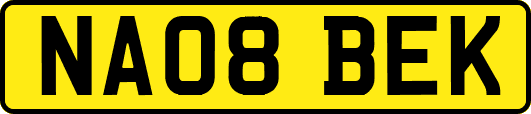 NA08BEK