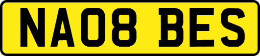 NA08BES