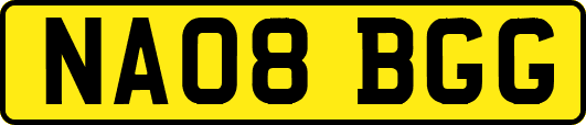 NA08BGG