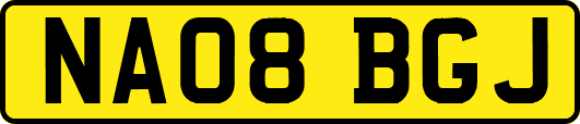NA08BGJ