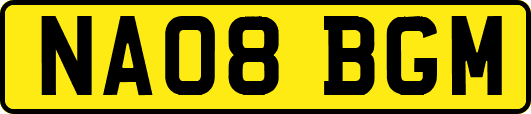NA08BGM