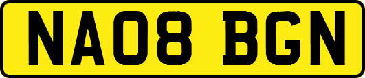 NA08BGN