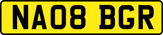 NA08BGR
