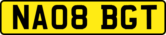 NA08BGT
