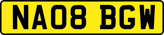 NA08BGW