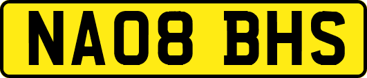 NA08BHS