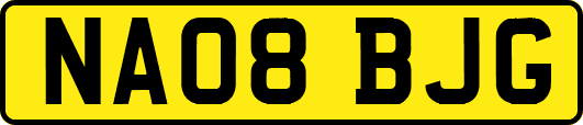 NA08BJG