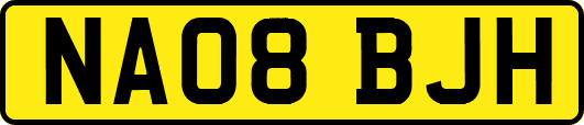 NA08BJH