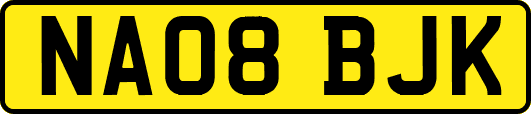 NA08BJK