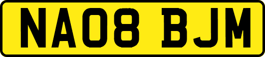 NA08BJM