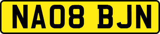 NA08BJN