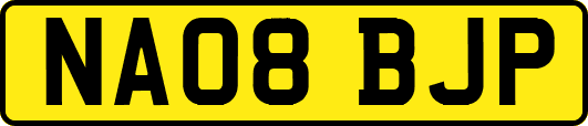 NA08BJP