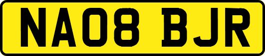 NA08BJR