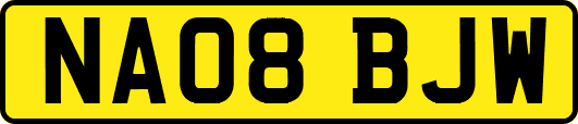 NA08BJW
