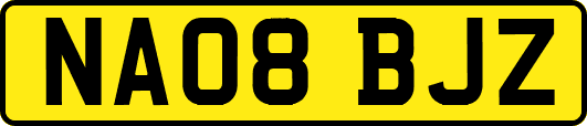 NA08BJZ