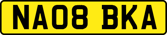 NA08BKA